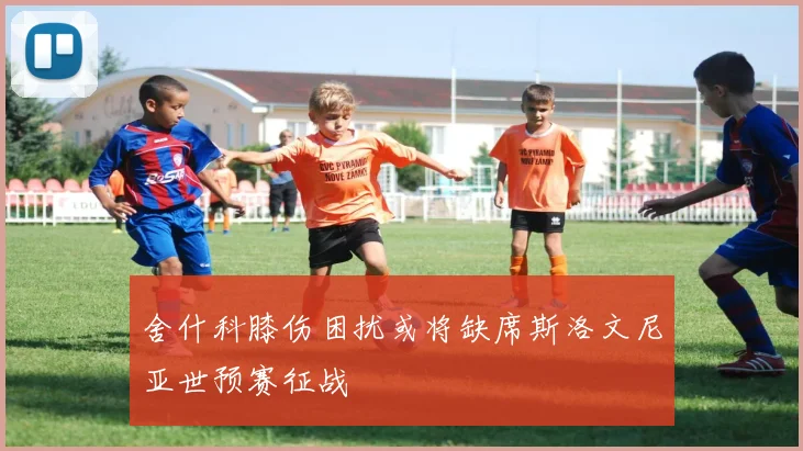 舍什科膝伤困扰或将缺席斯洛文尼亚世预赛征战