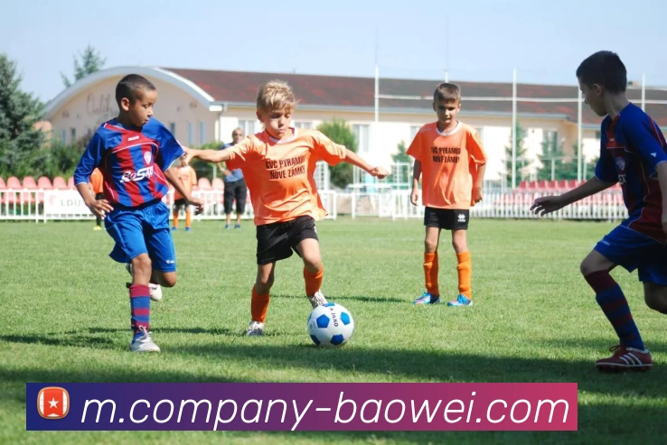 宝威体育APP 体育赛事宣传图